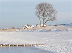 Bekannte Ansicht in Ahrenshoop (Februar 2010)