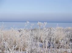 Strandblick vom Strandübergang 7 (Januar 2016)