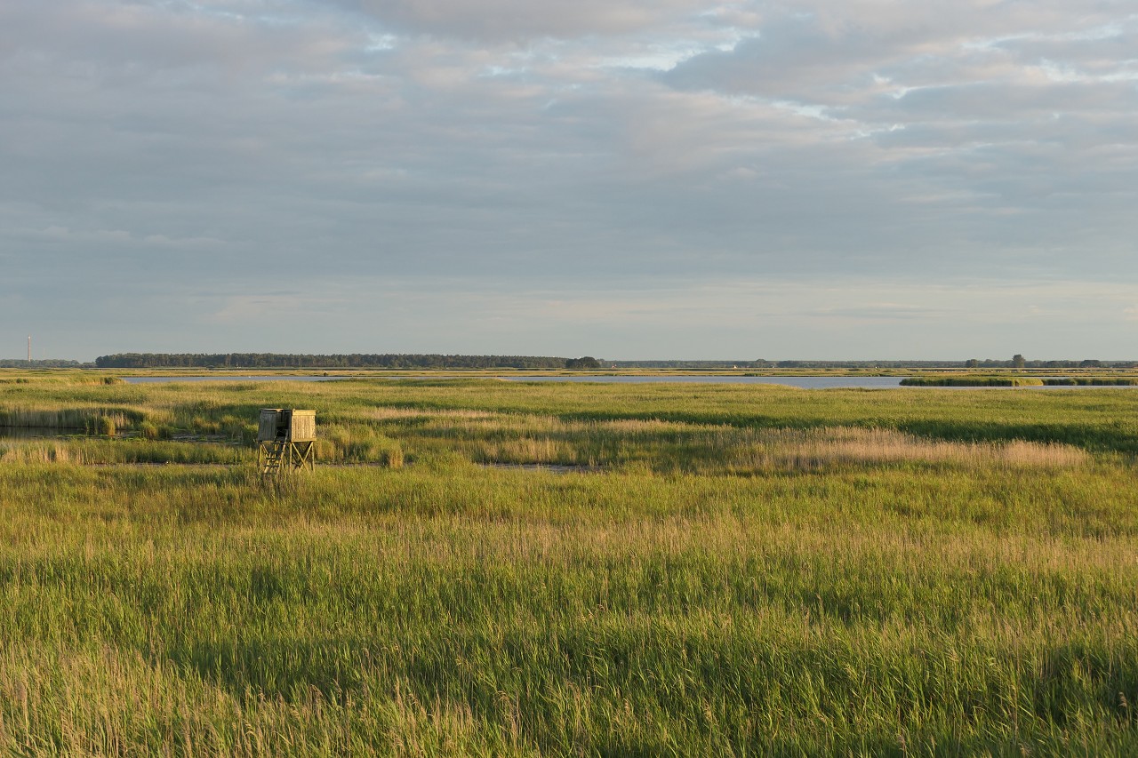 Bodden am Gänsebrink Richtung Müggenburg und Barth