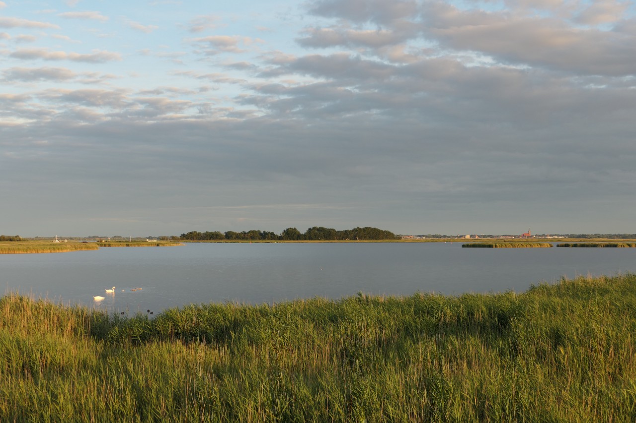 Boddenblick Richtung Barth