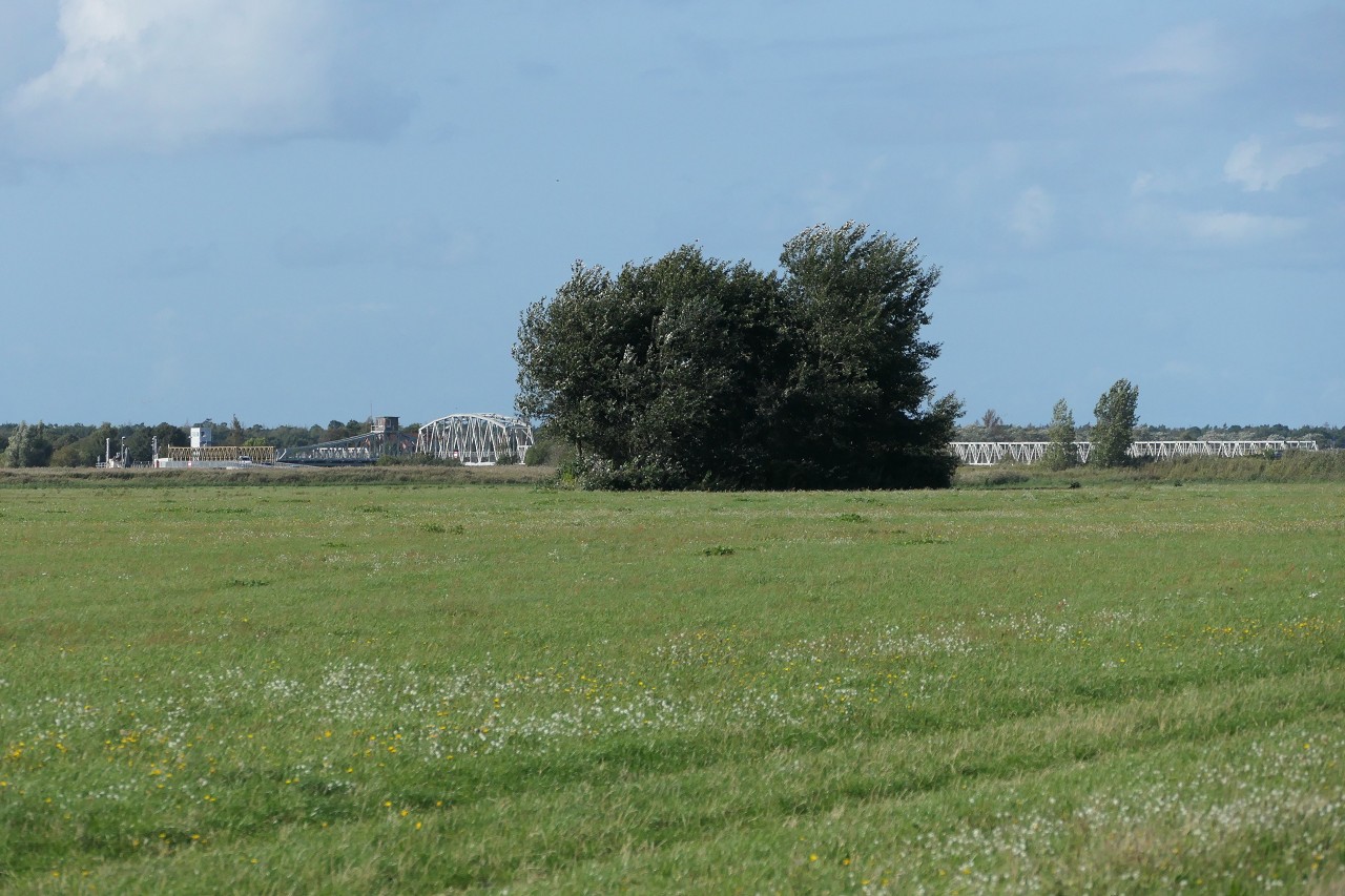 Meiningenbrücke - unser Wahrzeichen