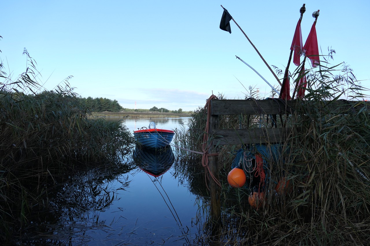 Herbst am Nothafen / Darsser Ort