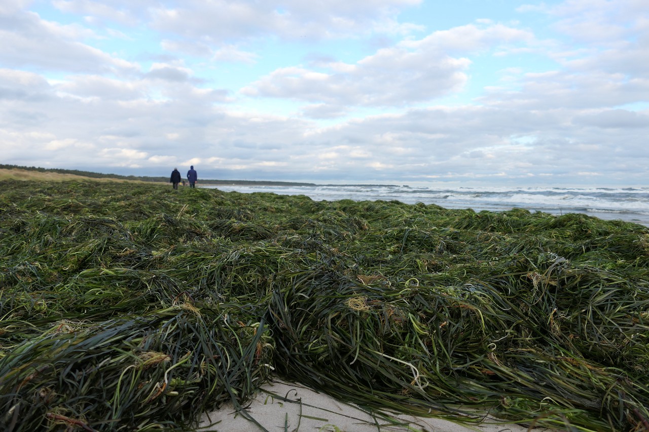 Nach dem Oktoberhochwasser 2020 in Prerow