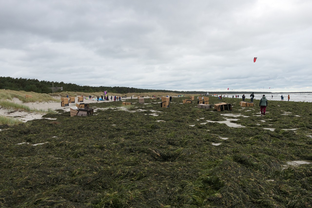 Nach dem Oktoberhochwasser 2020 in Prerow