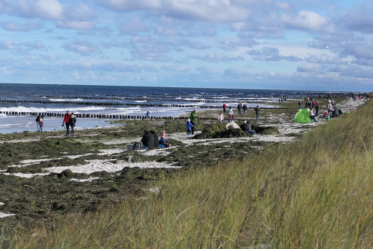 Nach dem Oktoberhochwasser 2020 in Zingst