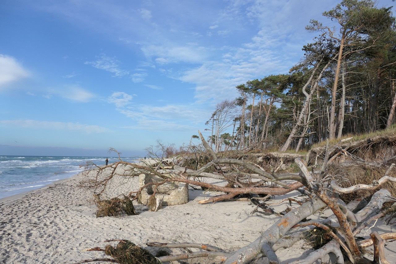 Weststrand 