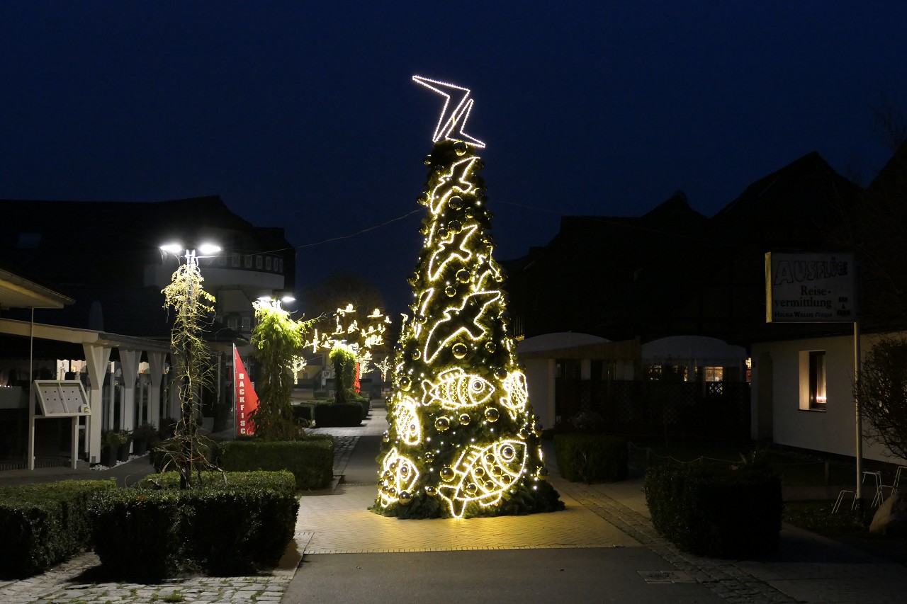 Zingster Weihnachtsdeko