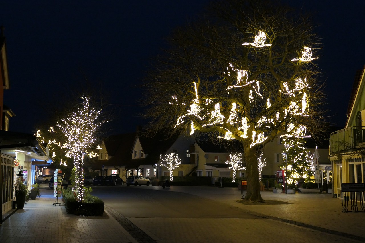 Zingster Weihnachtsstimmung am Fischmarkt