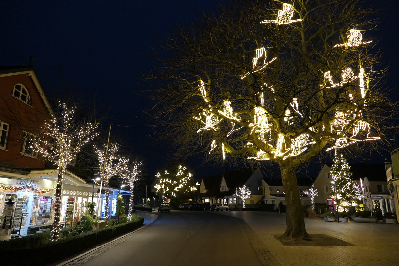 Zingster Weihnachtsstimmunga am Fischmarkt